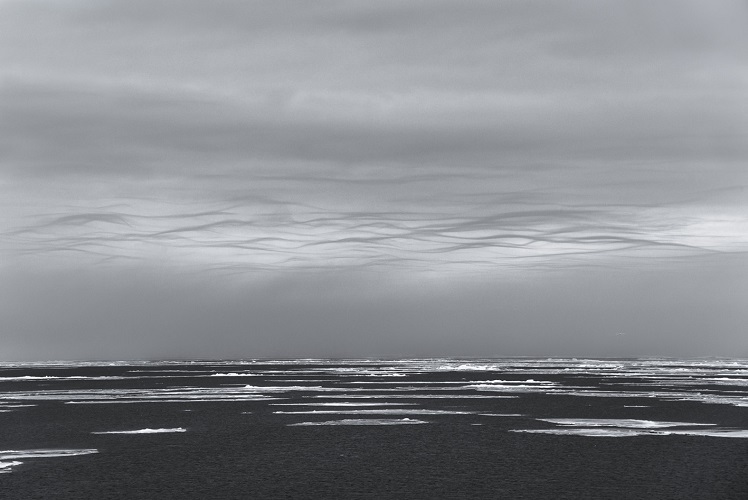 9_Vincent Munier Panorama Svalbard, 2013
